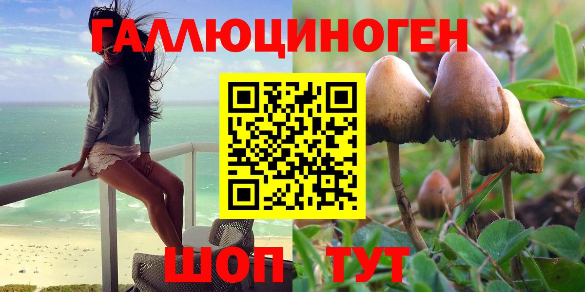 Галлюциногенные грибы прущие грибы  Вход с VPN  Псилоцибиновые грибы мицелий  Луга 