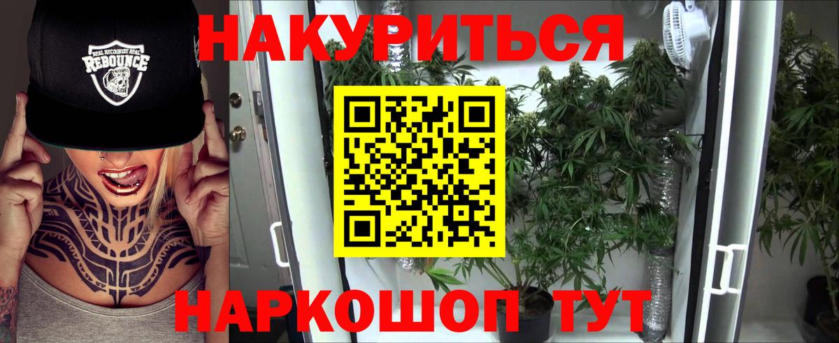 Канабис план Луга